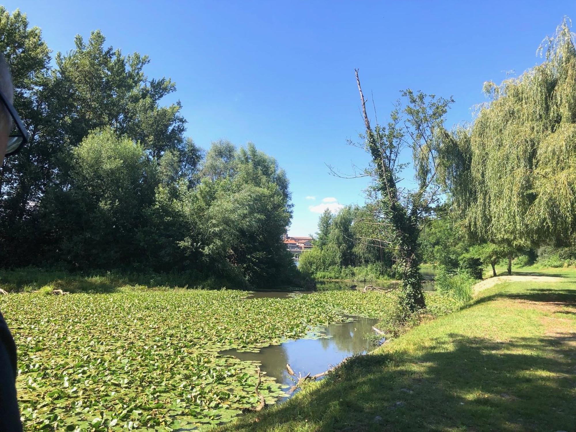 Beautiful Village House Next To Garonne River! Couladere Экстерьер фото