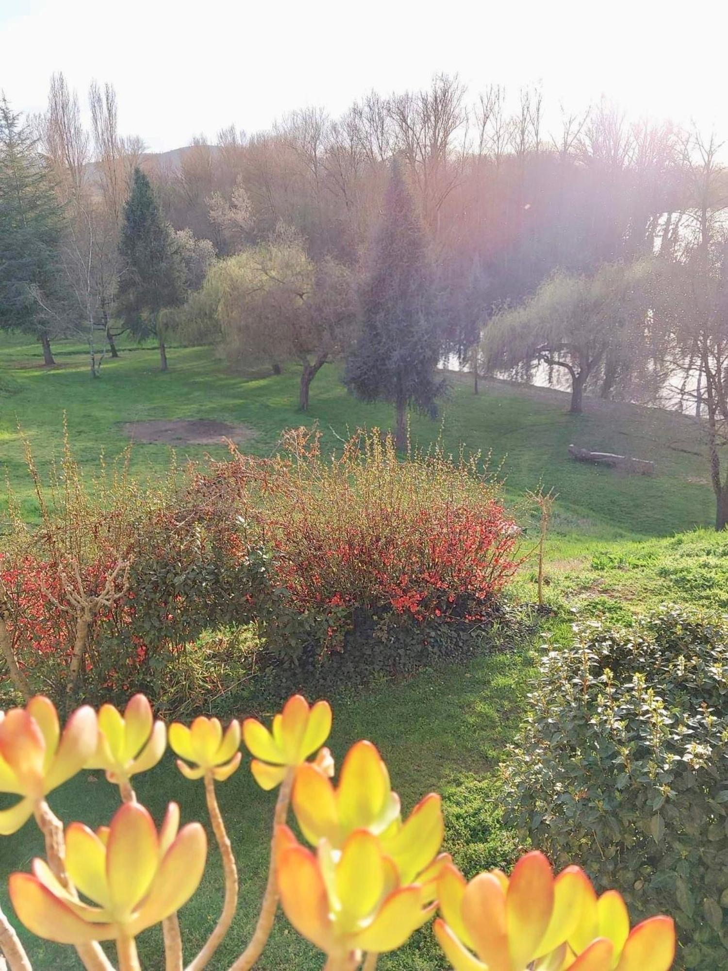 Beautiful Village House Next To Garonne River! Couladere Экстерьер фото
